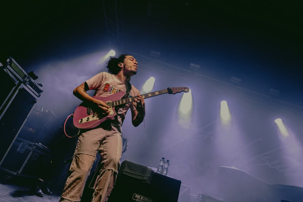 Photo of Honey Revenge