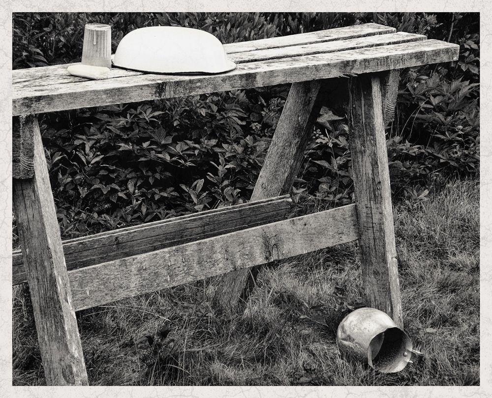 A weathered wooden sawhorse stands in a patch of long grass. Behind it is a thicket of bushes. Atop the sawhorse is an upside down metal water basin, a bar of soup and a plastic cup. On the ground is a galvanized tin water pitcher that has tumbled from the uneven boards onto the ground. The washstand is used by the summer participants in the Pine Island Camp youth retreat on Whitehead Island, Maine.