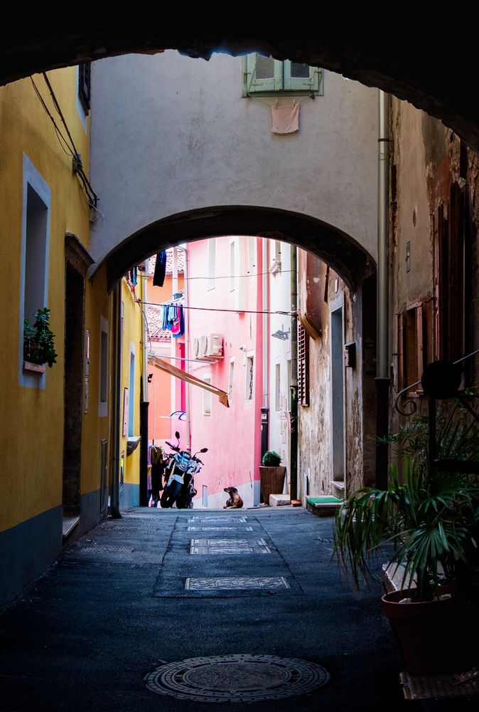 The scene is in Koper, Slovenia. Shadows cloak a narrow street in shadows. At the end of the street is a tall archway that opens to show the pastel colors of the brightly sunlit houses. The sunlight also illuminates a dog lying in the street staring at a parked motorcycle. What is it thinking of the motorbike? Actually, the motorcycle's owner is crouched behind the bike adjusting saddlebags. The dog is actually watching him with complete devotion.