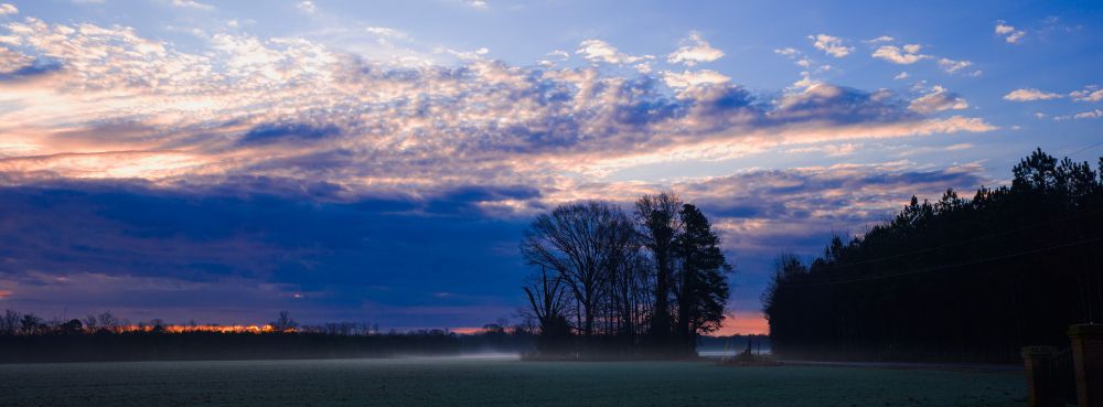 Sunrise over a field of young soybeans in rural Virginia, USA. There is a streak of glowing orange light just above a layer of fog hovering above the crops. At the edge of the field is a stand of trees, a cut through road, and then the beginning of a dense forest. The trees are silhouetted against the low clouds.