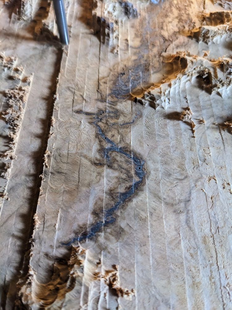 This image depicts a piece of burled and resin-filled wood being carved by a 1/4" carving bit. As each deeper subsequent layer is revealed, an image representing a mermaid or a genie appears briefly before the deeper carve of the coming layers will obliterate it.