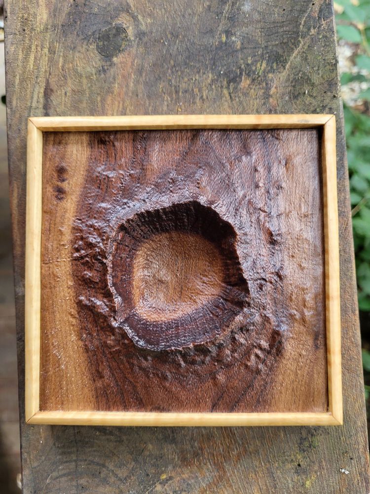 This top-down view of the carving shows the layers of the walnut revealed by the Crater carving.