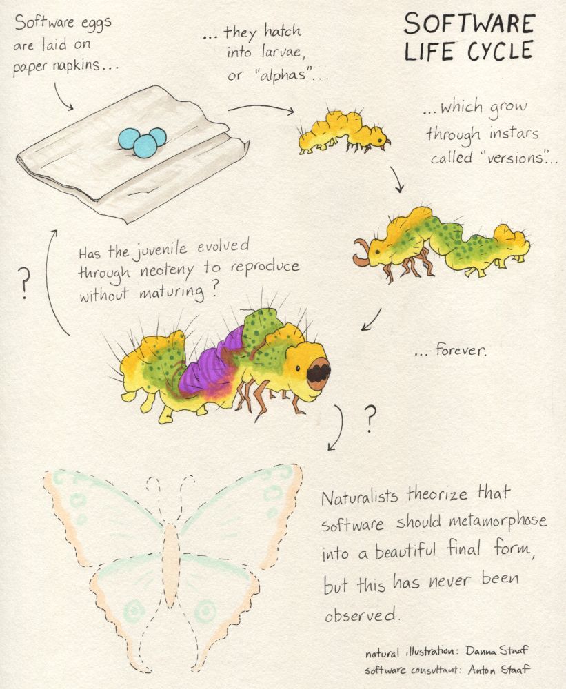 A speculative natural history illustration that presents "software" as a type of lepidopteran (moth or butterfly). It is made in traditional media (paper, ink, alcohol markers). The title is SOFTWARE LIFE CYCLE and it begins in the upper left. "Software eggs are laid on paper napkins..." says the text next to three beautiful blue spheres on a white napkin. An arrow leads past the text "...they hatch into larvae, or 'alphas'..." to point at a rather horrible little yellow caterpillar-ish thing. An arrow leads from this past the text "...which grow through instars called 'versions'..." to point at a larger, lumpier, and hairier version. This version retains the yellow coloration, with the addition of a green spotted portion to its body. A third arrow leads onward, past the text "...forever.", to a still larger and more horrible version. This one is still yellow, and green spotted, and now also purple and red striped. From this abomination, two arrows peel off, both with question marks. One leads back to the napkin with the text, "Has the juvenile evolved through neoteny to reproduce without maturing?" Another leads down to faintly colored outline of what might be a quite stunning moth or butterly. The text next to this hypothetical creature reads, "Naturalists theorize that software should metamorphose into a beautiful final form, but this has never been observed." In the lower right is the text "natural illustration: Danna Staaf; software consultant: Anton Staaf."