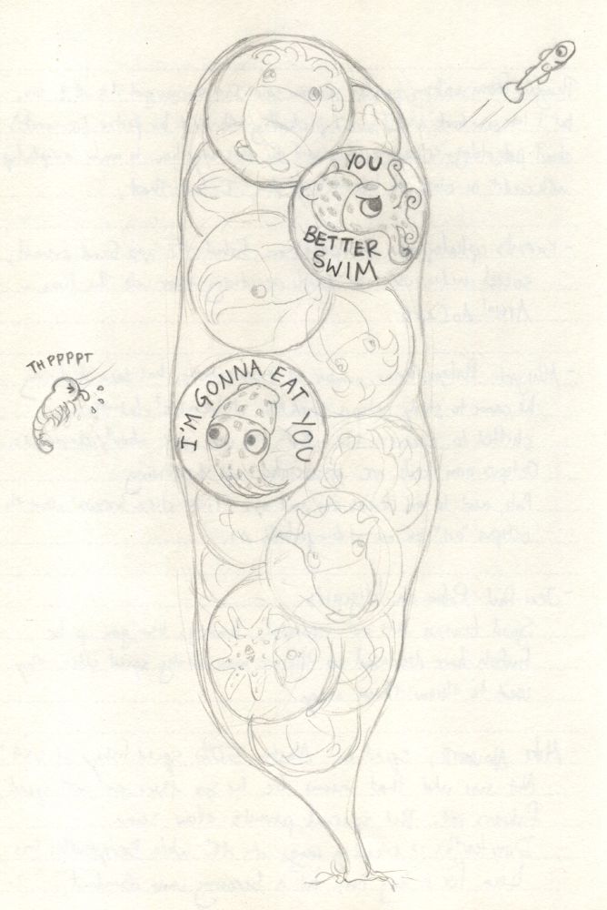 A pencil sketch scanned from my notebook (handwritten notes are visible from the other side of the page) of a squid egg capsule. It's a lumpy elongate shape attached to the seafloor by a short stalk and containing about a dozen round eggs. Faint squid embryos are scribbled in all the eggs, but two are rendered in darker lines and more detail. One of these gazes hungrily to the left of the capsule, where a small shrimp in the water blows a raspberry back at the embryo. The words I'M GONNA EAT YOU fill the egg space around the embryo. The other rendered embryo stares angrily to the right of the capsule, where a tiny fish swims quickly in the other direction. The words YOU BETTER SWIM fill the egg space around this embryo, and its arms are coiled so it looks like it's shaking its fists.