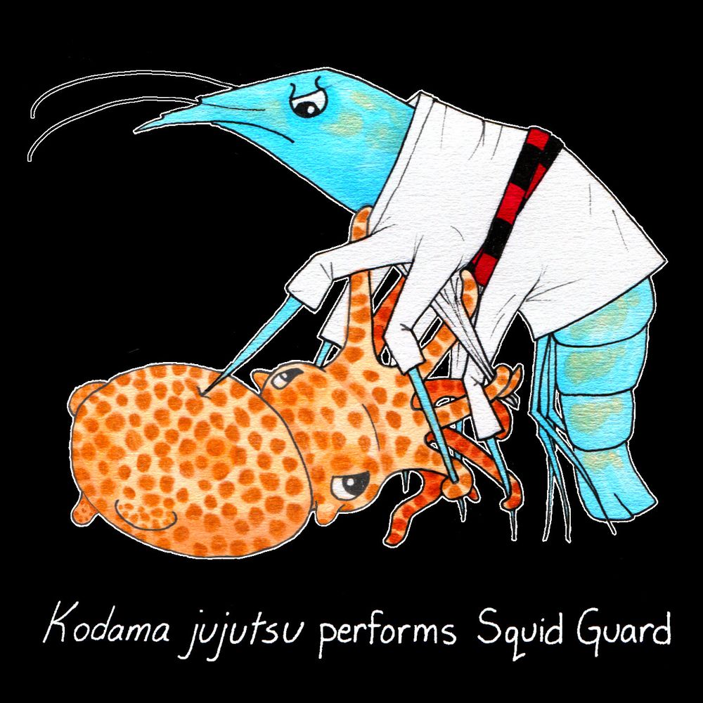 On a black background, an orange-brown pygmy squid and a blue-green shrimp grapple and glare at each other. The shrimp is wearing a white gi with a black and red striped belt. The squid is naked except for its chromatophores, and it grips the shrimp's gi lapel in a complex move, also using its plethora of arms to grip several of the shrimp's legs and the gi collar. The squid has skin tags behind its eyes and a protrusion on the tip of its mantle. The text reads "Kodama jujutsu performs Squid Guard."