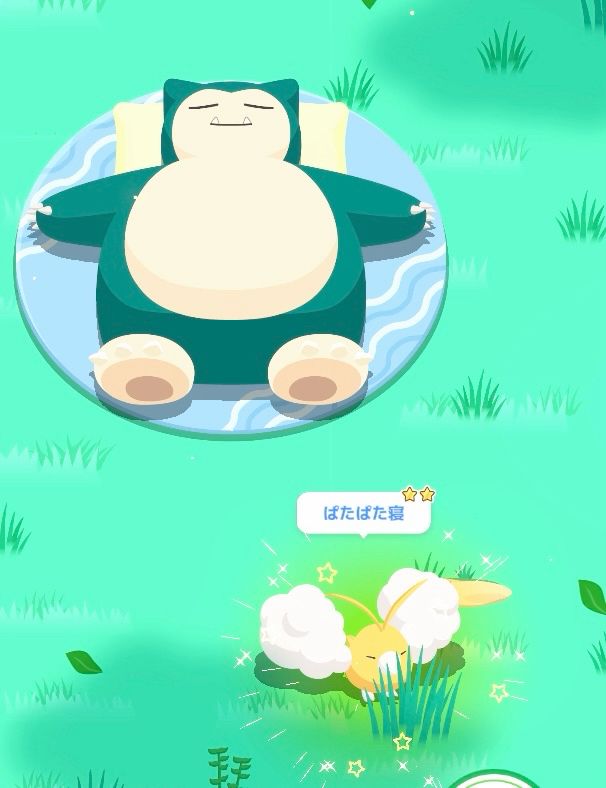 21体目色違い　チルット