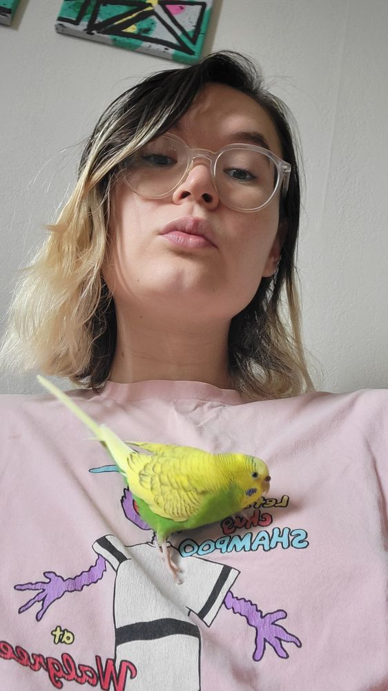 Yellow and green budgie on my shirt