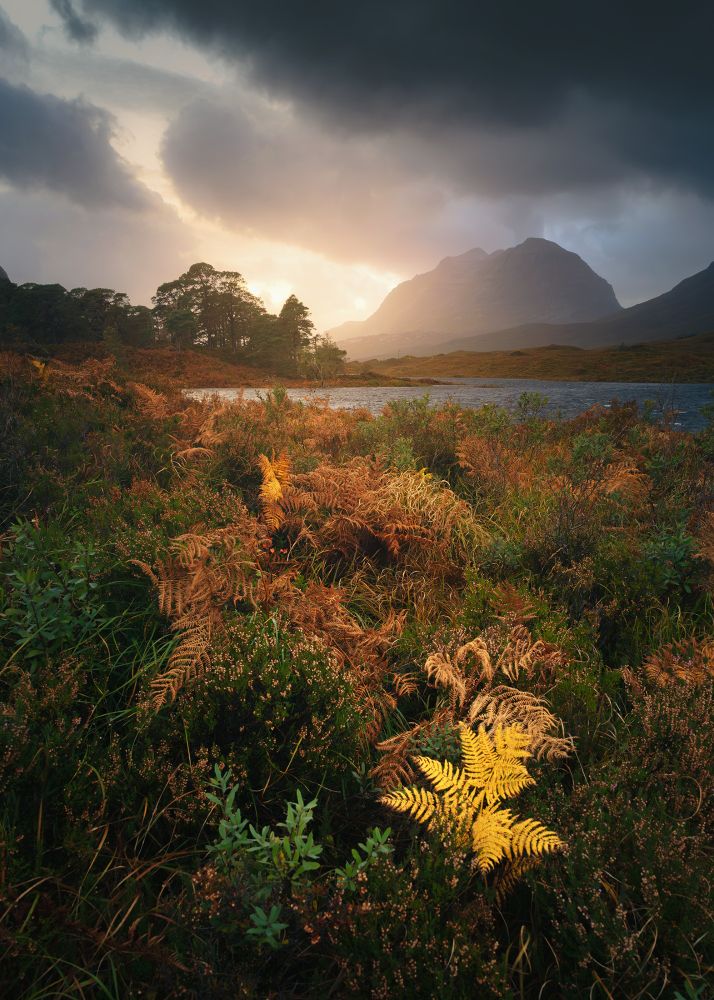 Last light at Loch Clair #Scotland #WesterRoss #Kinlochewe www.damianshields.com