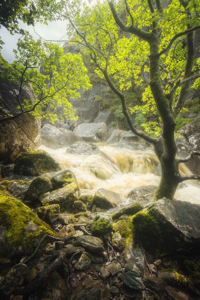Eas an Tuill, Glen Nevis Gorge #Scotland #GlenNevis #FortWilliam www.damianshields.com