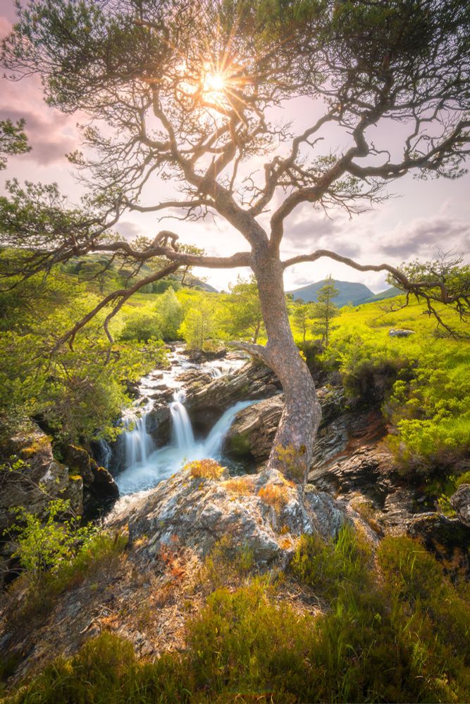 Falls on the River Cononish #Scotland #Perthshire #Trossachs www.damianshields.com