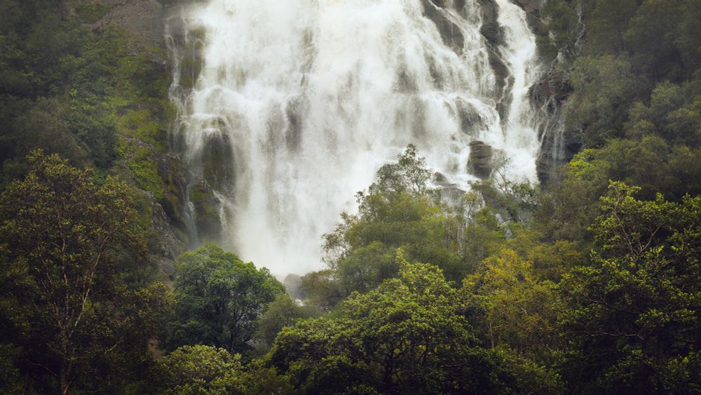 Falls and Forest, An Steall Bàn, Glen Nevis #Scotland #GlenNevis #FortWilliam www.damianshields.com