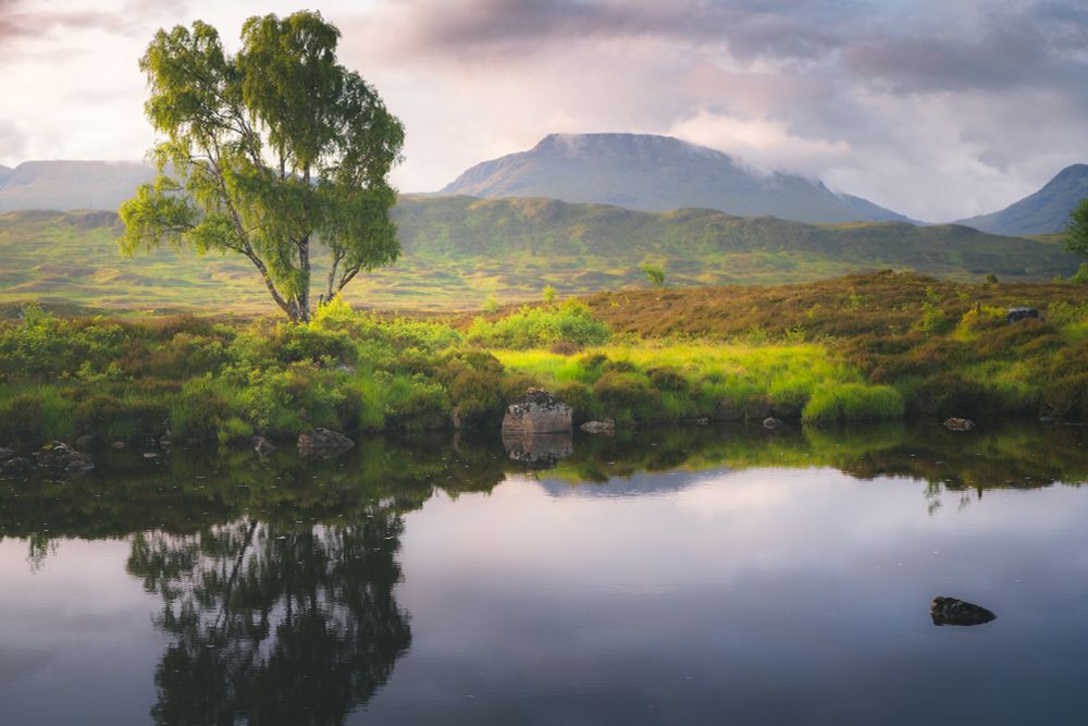 Beinn Achaladair from Loch Bà #Scotland #Argyll #Highlands www.damianshields.com 
