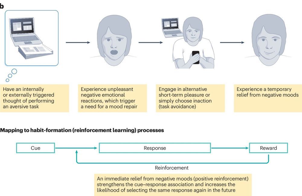 A figure from Mahy, Munakata, & Miyake (2024) illustrating one dominant theory of procrastination: short-term mood repair theory (proposed by Sirois & Pychyl, 2012, and elaborated more in Sirois's 2021 book). 

How this theory works: 

1) Have an internally or externally triggered thought of performing an aversive task;

2) Experience unpleasant negative emotional reactions, which trigger a need for a mood repair;

3) Engage in alternative short-term pleasure or simply choose inaction (task avoidance);

4) Experience a temporary relief from negative moods at the expense of postponing an aversive task that matters in the long run.

Ironically, this temporary relief from negative moods serves as an immediate positive reinforcement and increases the likelihood of doing the same thing again in the future, gradually leading to habitual forms of procrastination.

Mahy, C.E.V., Munakata, Y. & Miyake, A. Mutual implications of procrastination research in adults and children for theory and intervention. Nat Rev Psychol 3, 589–605 (2024). https://doi.org/10.1038/s44159-024-00341-w