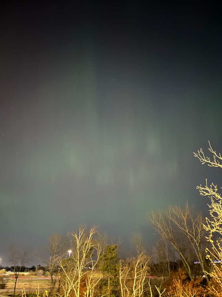 Some faint northern lights captured on an iphone camera. In a grey sky, little splashes of green can be seen above brightly lit trees