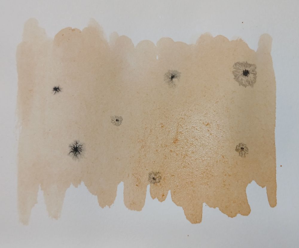 Wash of black tea brown on white paper, here & there blooms of black ink 