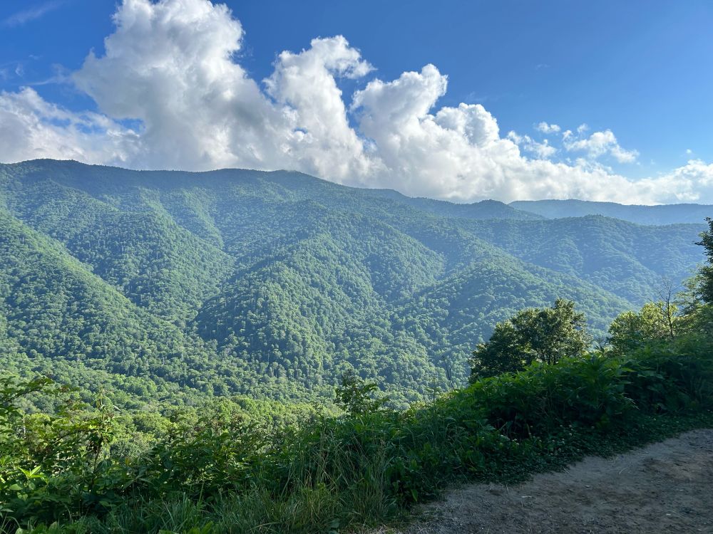 A view of Great Smokey Mountains National Park showing tree covered mountains with a bright blue sky and white clouds