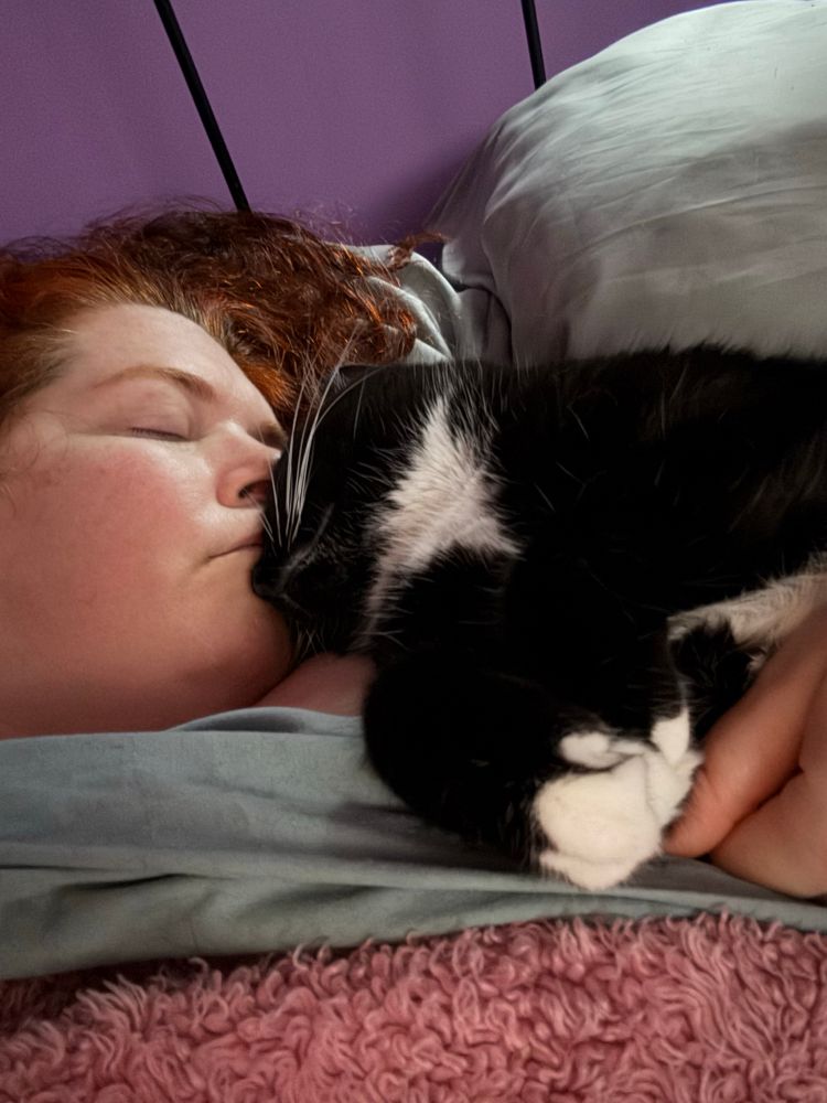Tuxie boy’s head is pressed against my lips while I lay on my pillow. He’s fast asleep and my eyes are closed, savoring the moment. 
