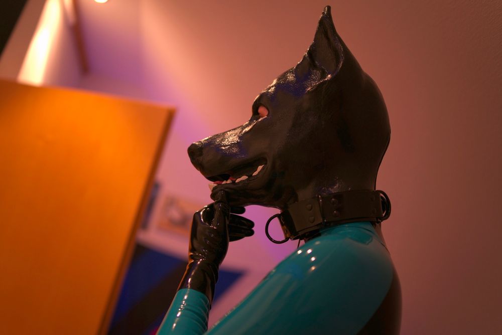 Picture shows a Rubber Dobie holding his chin with his rubber paw, thinking about things.
