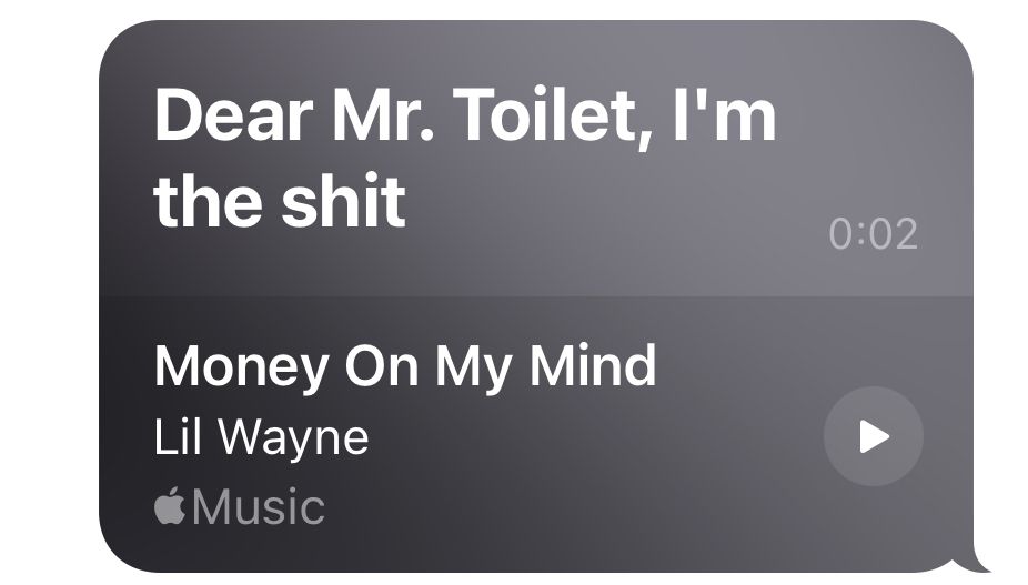 a lyric excerpt of Lil Wayne’s “Money On My Mind”: “Dear Mr. Toilet / I’m The Shit”