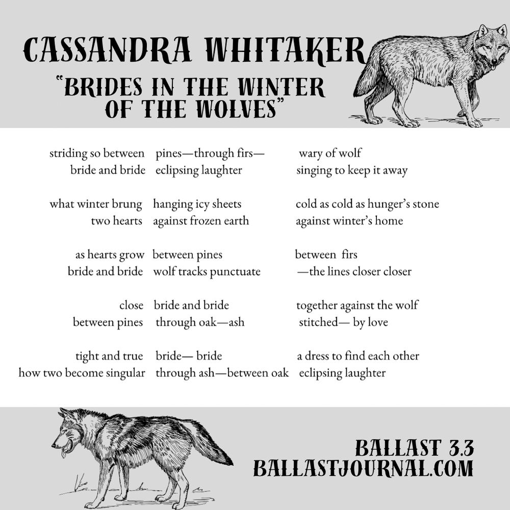 Poem’s text of Cassandra Whitaker’s “Brides In The Winter Of The Wolves” from ballast 3.3. Black and white profile shots of wolves on top of bottom of image and text.