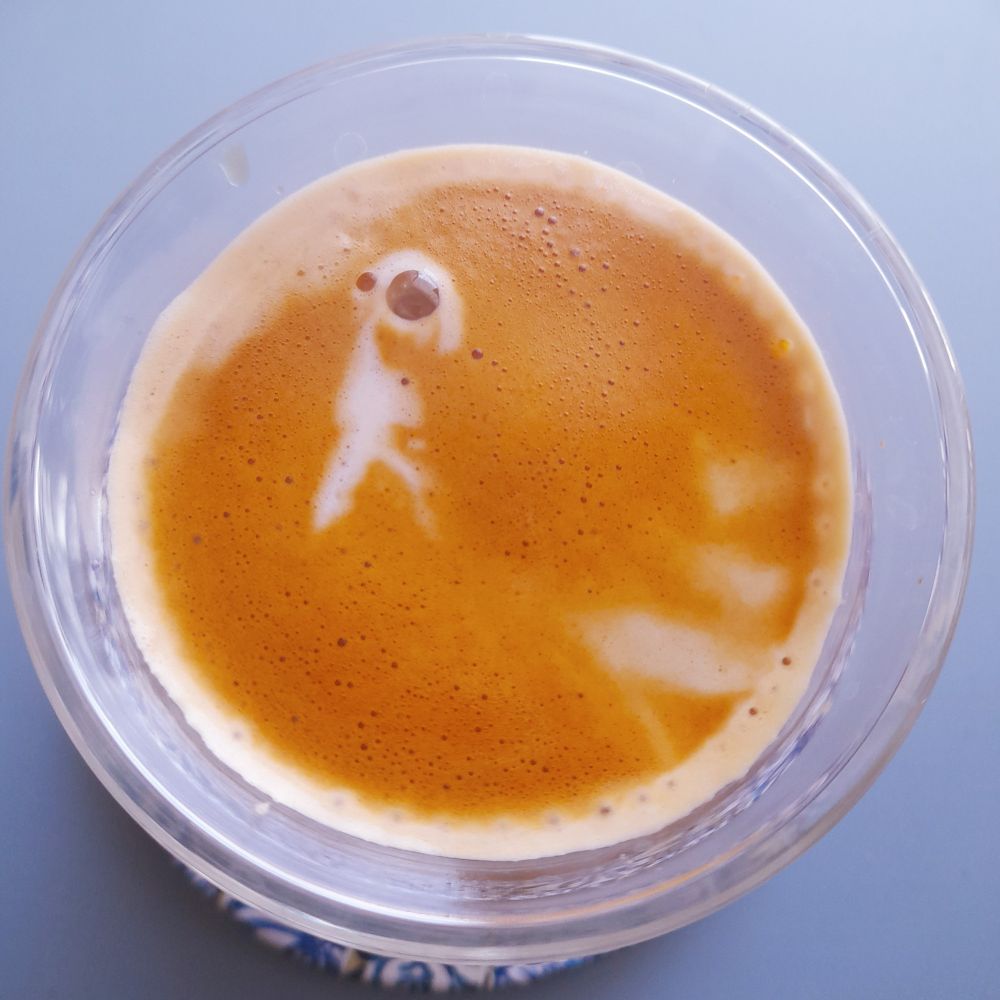flat white coffee in a double walled espresso cup. to me latte art looks like cave painting