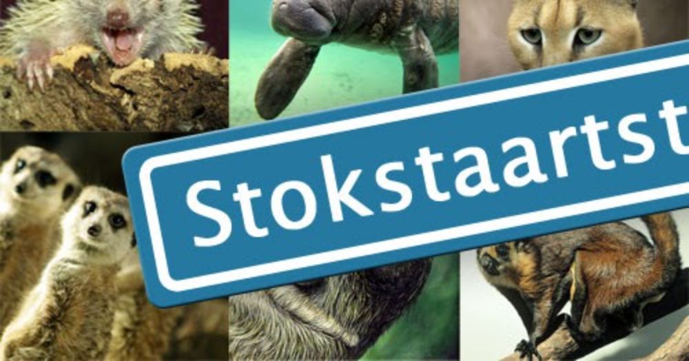 De luiaard, de stokstaart en de hyena - Vergeten Dieren in straatnamenland