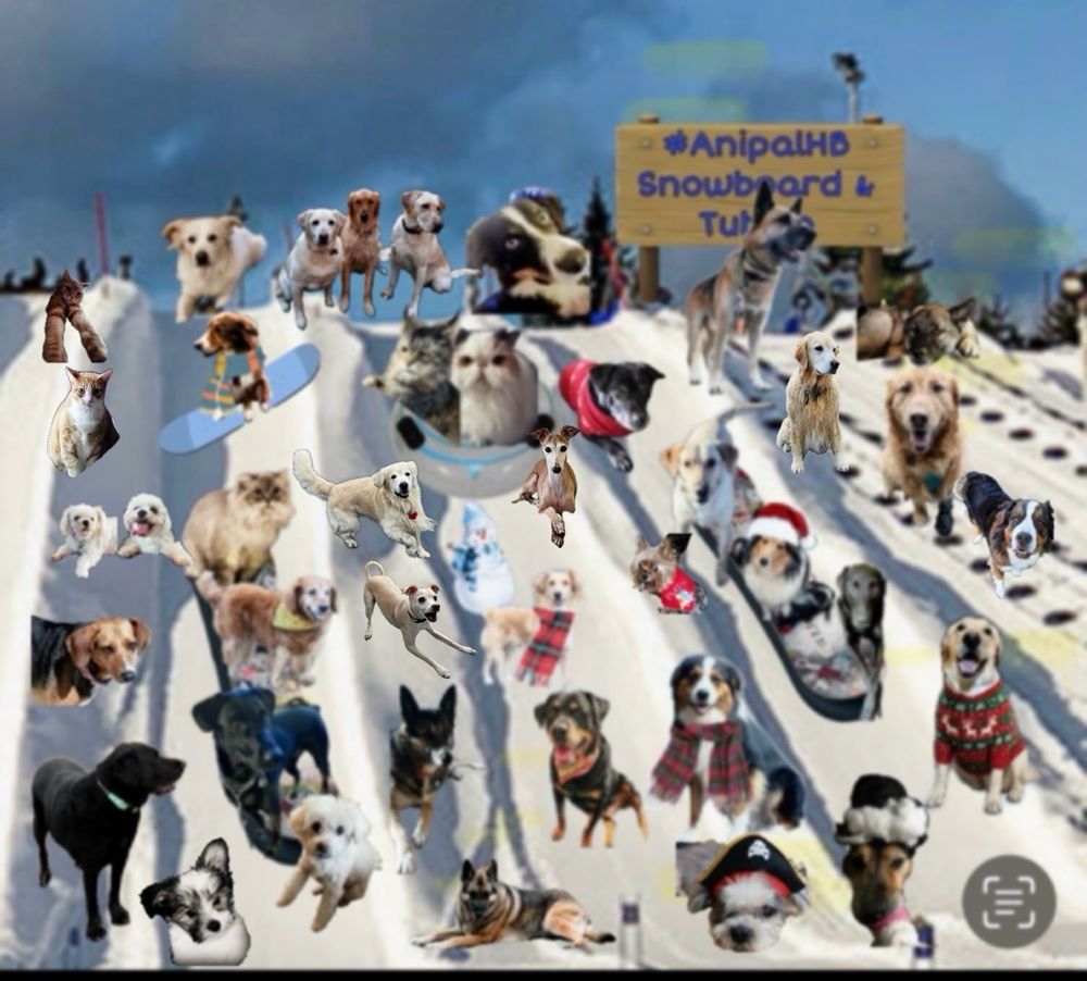 Anipal Holiday Bazaar 2025. 