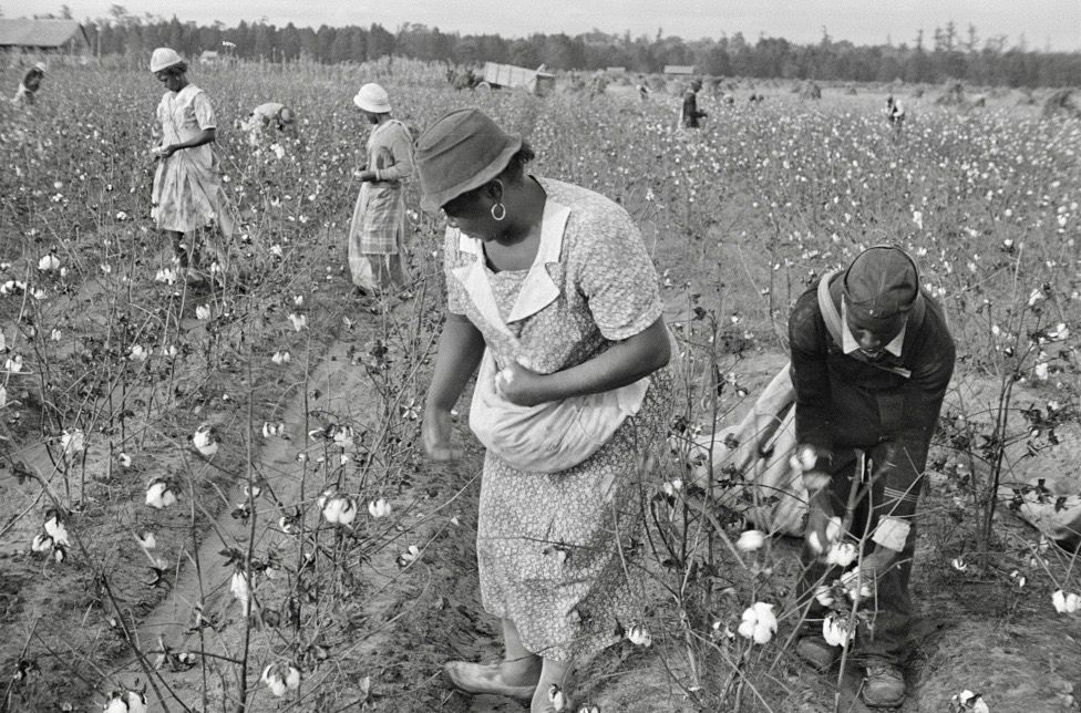 Library of Congress Prints and Photographs Division Washington, D.C. (Farm Security Administration - Office of War Information Photograph Collection) 
https://www.loc.gov/item/2017730826/
