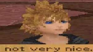 a delightfully compressed roxas from kingdom hearts 358 days over 2 saying not very nice.