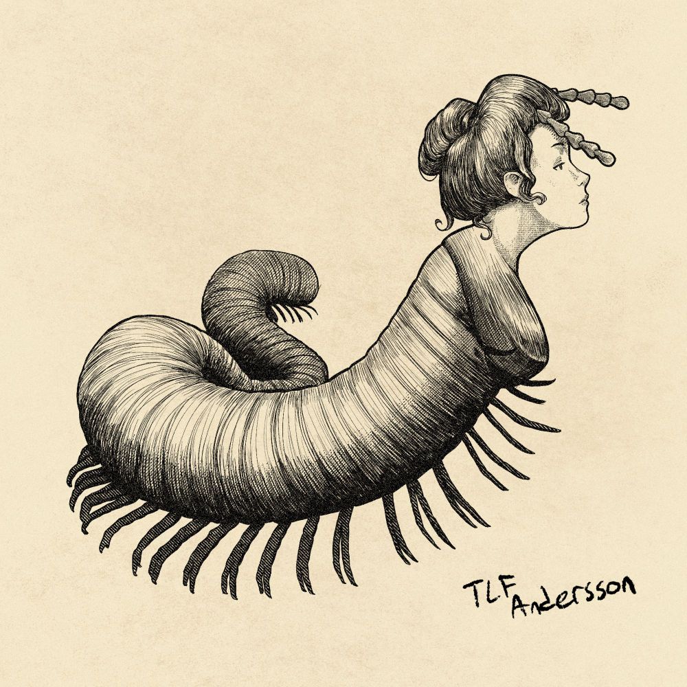 Digital drawing in the style of an engraving print. A millipede with a human woman’s head. The head has an old fashioned hairstyle and a serene expression. Black and white.