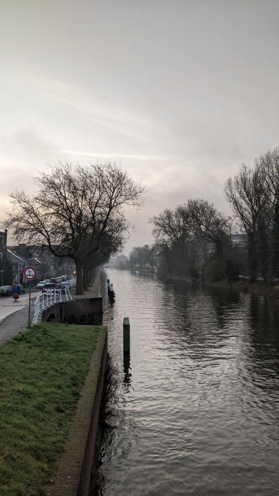 A photo of a river with green grassy banks and leafless trees alongside it, and a foggy grey sky above