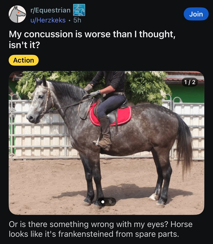 Picture of a Gray horse with someone saying it looks like it’s frakensteined from spare parts
