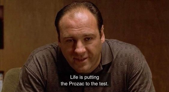 Tony Soprano in therapy:
“Life is putting the Prozac to the test.”