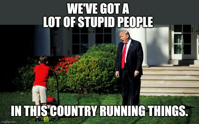 Trump yelling at a kid mowing a lawn, saying "We've got a lot of stupid people in this country running things".