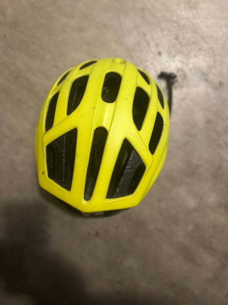 Picture of my bike helmet 