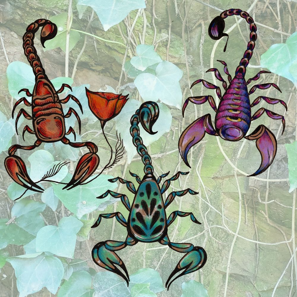 a tattoo flash sheet of three scorpion designs. the top left is red and orange and holding a poppy, and is the most like a natural scorpion. the bottom middle has an ornate pattern on its back and colored with mint and teal. the top right is purple with interesting half circle designs on its plated back