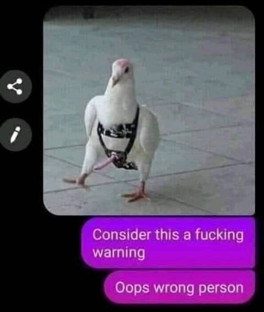 Comment image