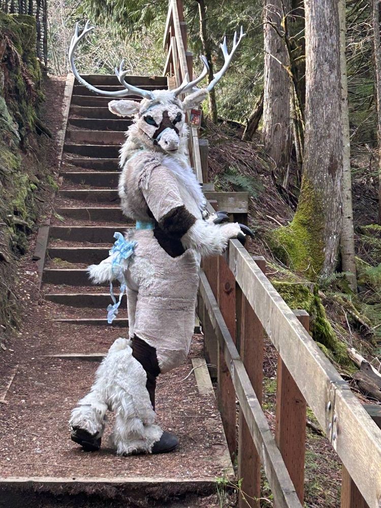 A photograph of a reindeer fursuiter standing on a set of stairs on a hiking trail in the forest. 