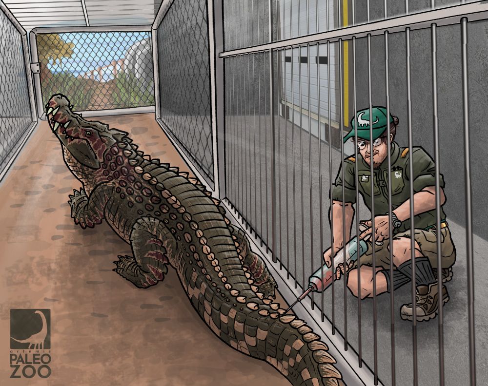 Alt Text: A care specialist at the fictional Paleozoo uses a syringe to carefully draw blood from the tail of a Kaprosuchus, a crocodile relative as it calmly watches the process.