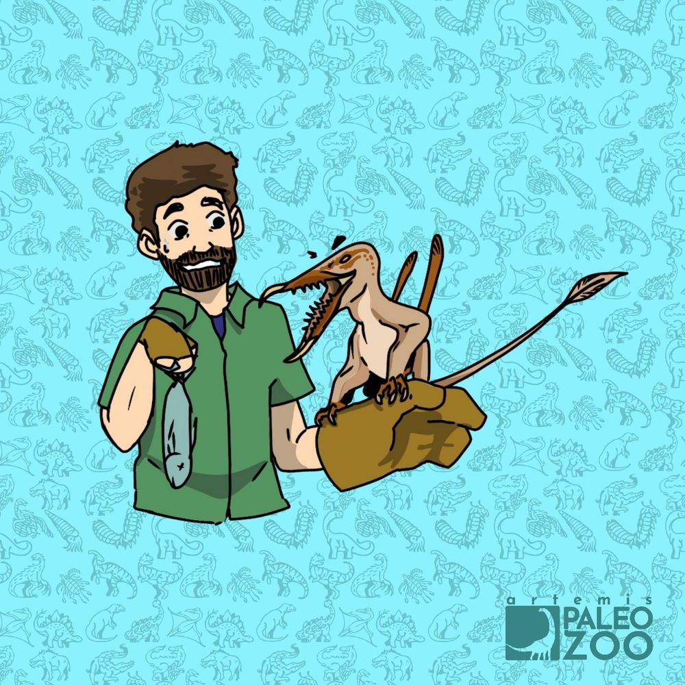 Alt Text: A paleozookeeper trains with a Rhamphorhynchus, a flying reptile with bat-like wings made of skin, and a mouth housing many pointed teeth. The employee looks slightly nervous as it holds the animal's snack, knowing it is very eager to eat.