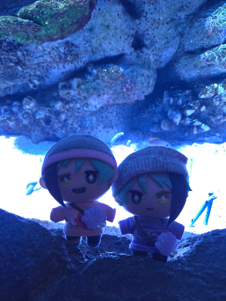 A Jade Leech nui and a Floyd Leech nui standing in front of a tank of spotted garden eels