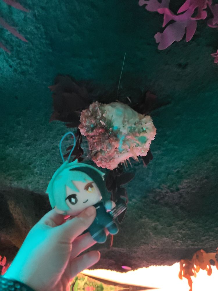 A Jade Leech nui being held up to a fake fungus growing out of a fake rock 