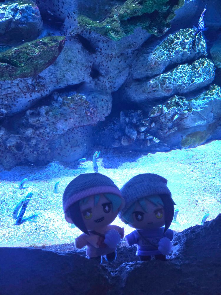 A Jade Leech nui and a Floyd Leech nui standing in front of a tank of spotted garden eels