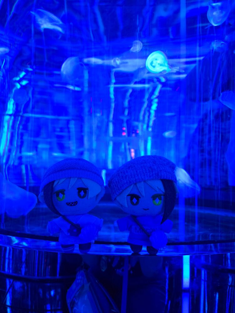 A Jade Leech nui and a Floyd Leech nui  standing in front of a tank of jellyfish. The room is lit a deep blue color, the lighting making the nuis look blue as well