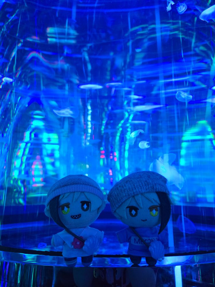 A Jade Leech nui and a Floyd Leech nui  standing in front of a tank of jellyfish. The room is lit a light blue/cerulean color