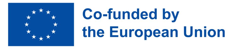 EU Logo and text Co-funded by the European Union