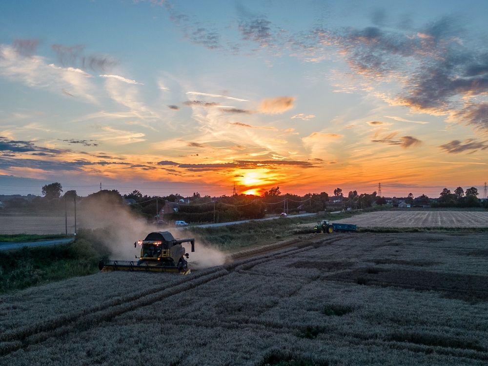 Combine harvester sending up a plume of straw dust into a stunning wide fenland sunset of purple, orange, yellow and blue.