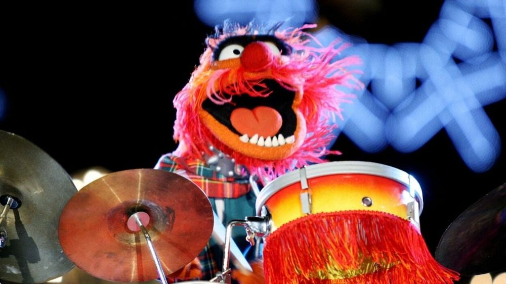 Animal from the Muppets