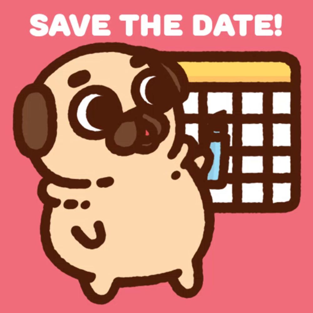 Puglie Pug Puglie GIF