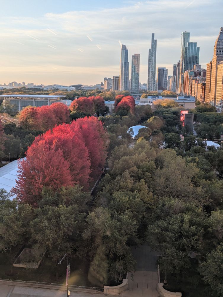 Millennium Park sunrise with gorgeous red maples